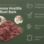 Mimosa Hostilis Root Bark: A Guide to Its Botanical Background and Characteristics